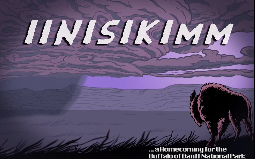 Iinisikimm The Comic