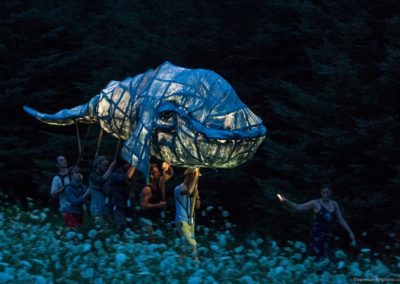 Willow Pageantry: An introduction to sustainable large-scale puppet construction
